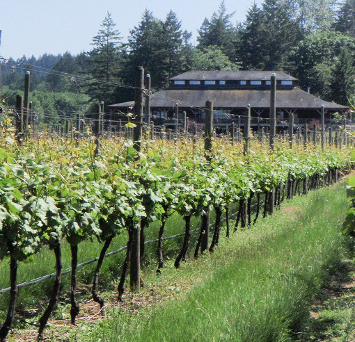 kimwalker website portfolio square-004