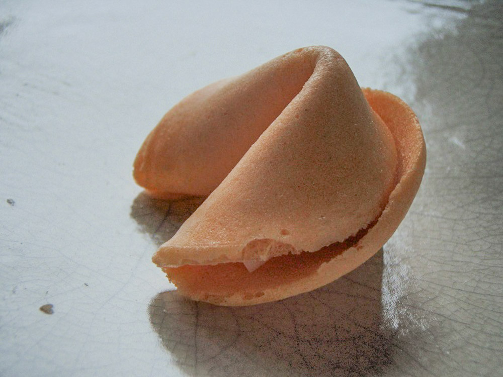 Fortune Cookie Wisdom