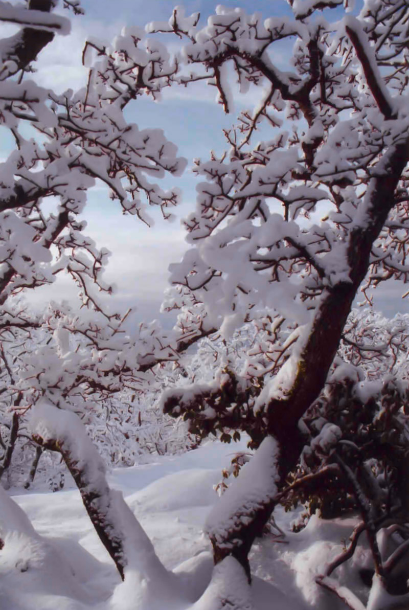 kimwalker website-005