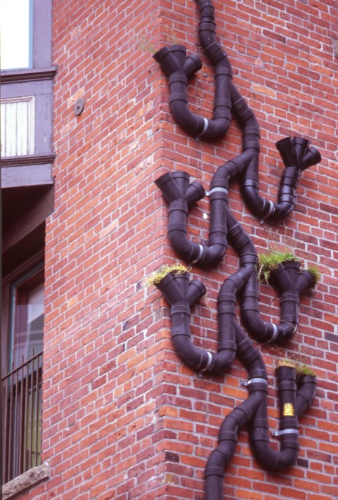 kimwalker website-006