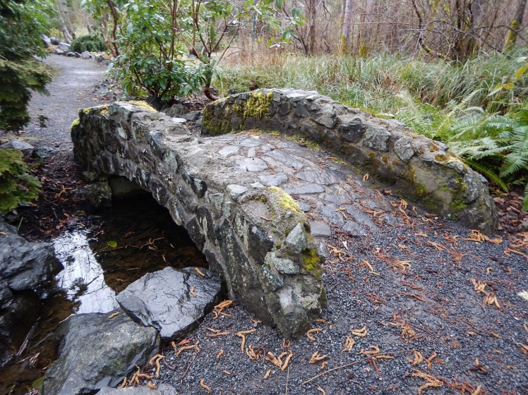 Resilient Saanich – One step at a&nbsp;time