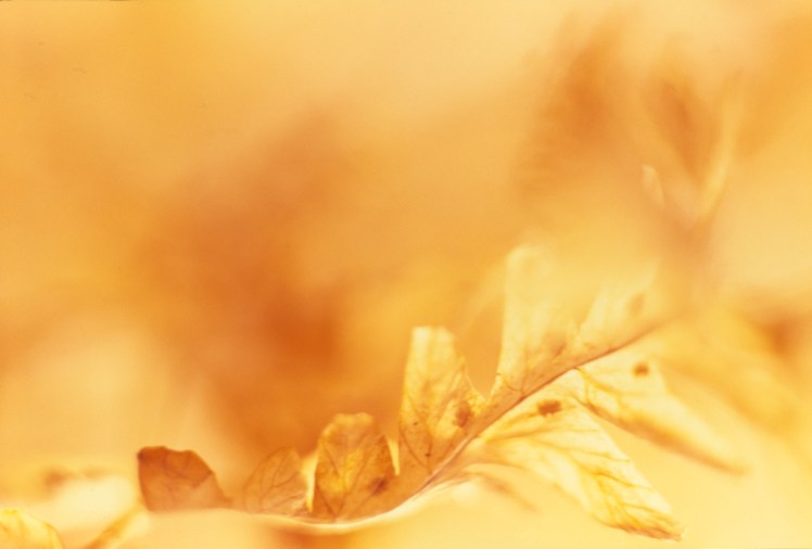 October morning