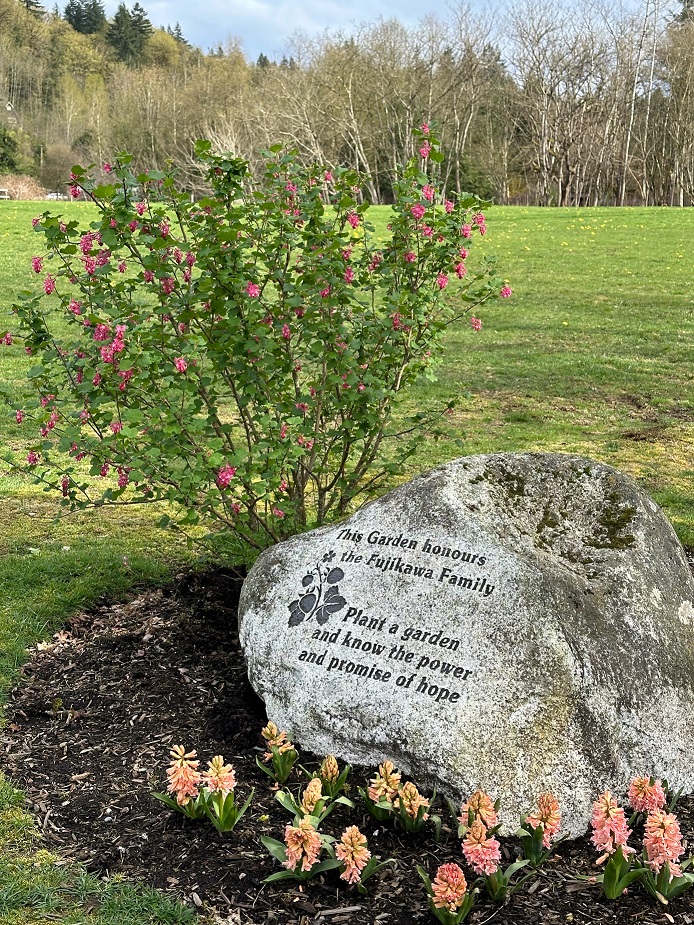 Fujikawa Memorial Garden