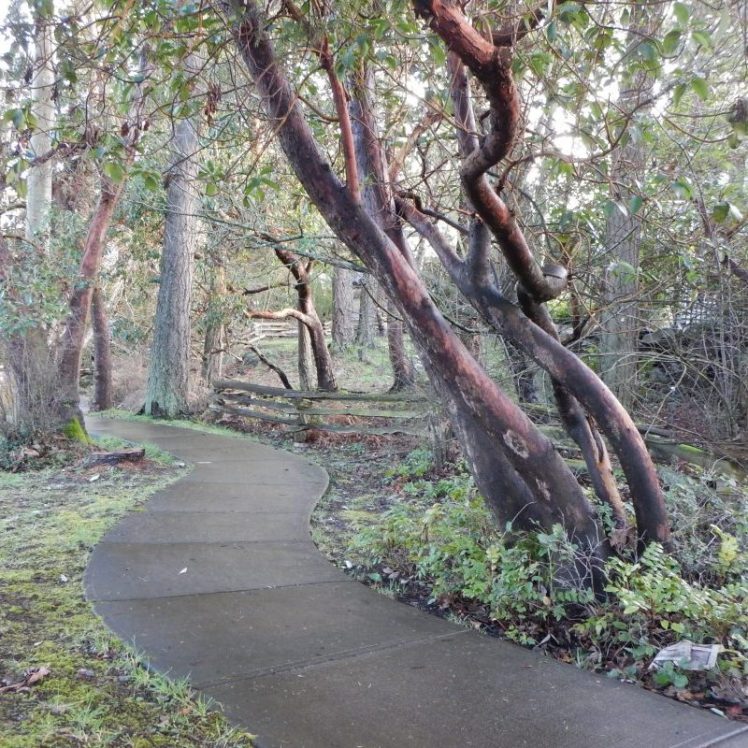 Together for a Resilient&nbsp;Saanich